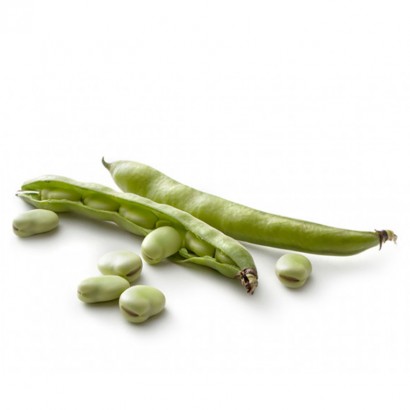 FAVES – BROAD BEANS – HABAS