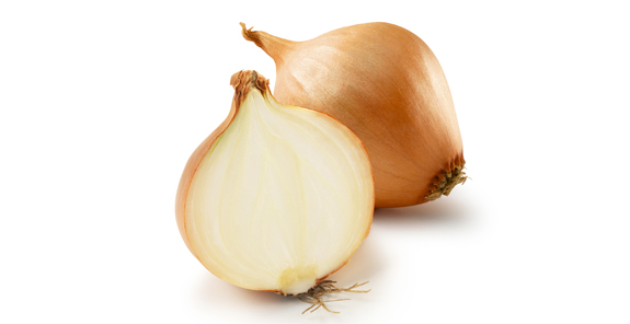 CEBOLLA – CEBA – ONION
