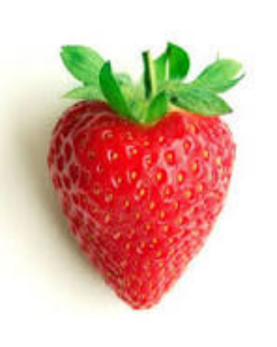 FRESA-MADUIXA-STRAWBERRY