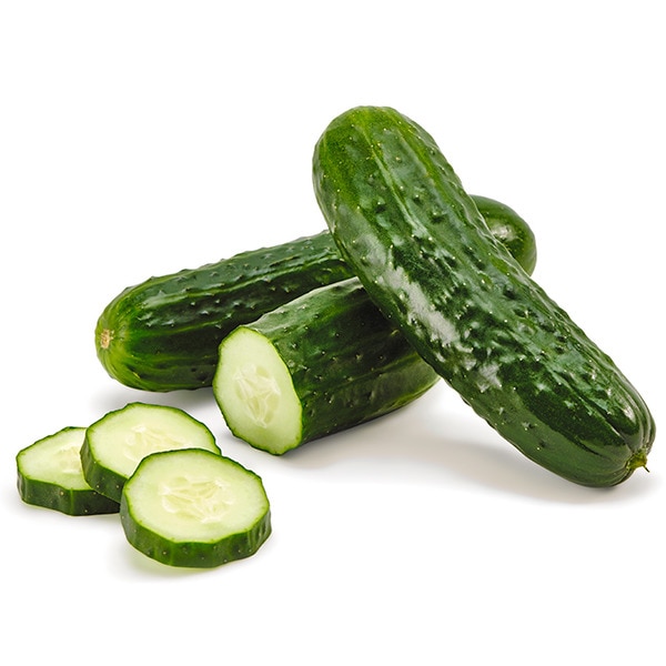 pepino cucumber cogombre