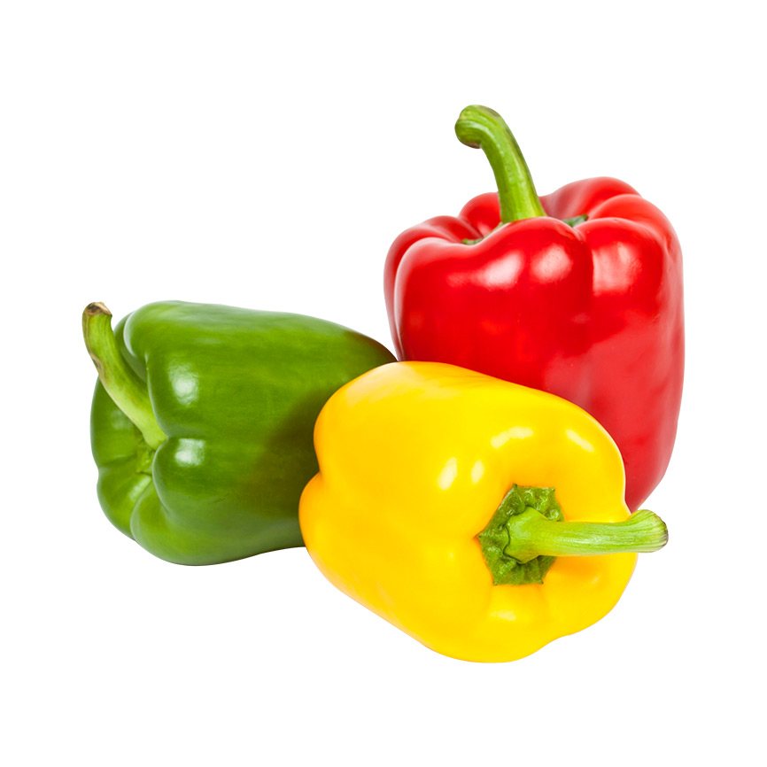 PIMIENTO PEPPER PIMENTÓ