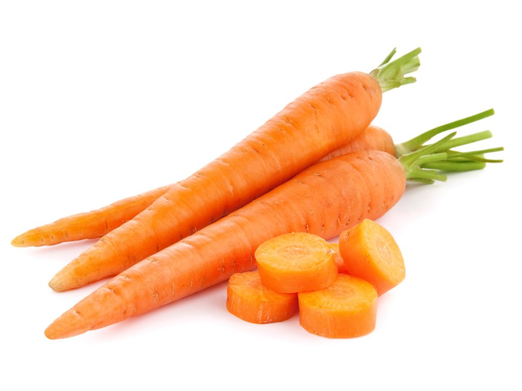 zanahoria – carlota – carrot