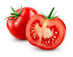 TOMACA – TOMATO – TOMATE