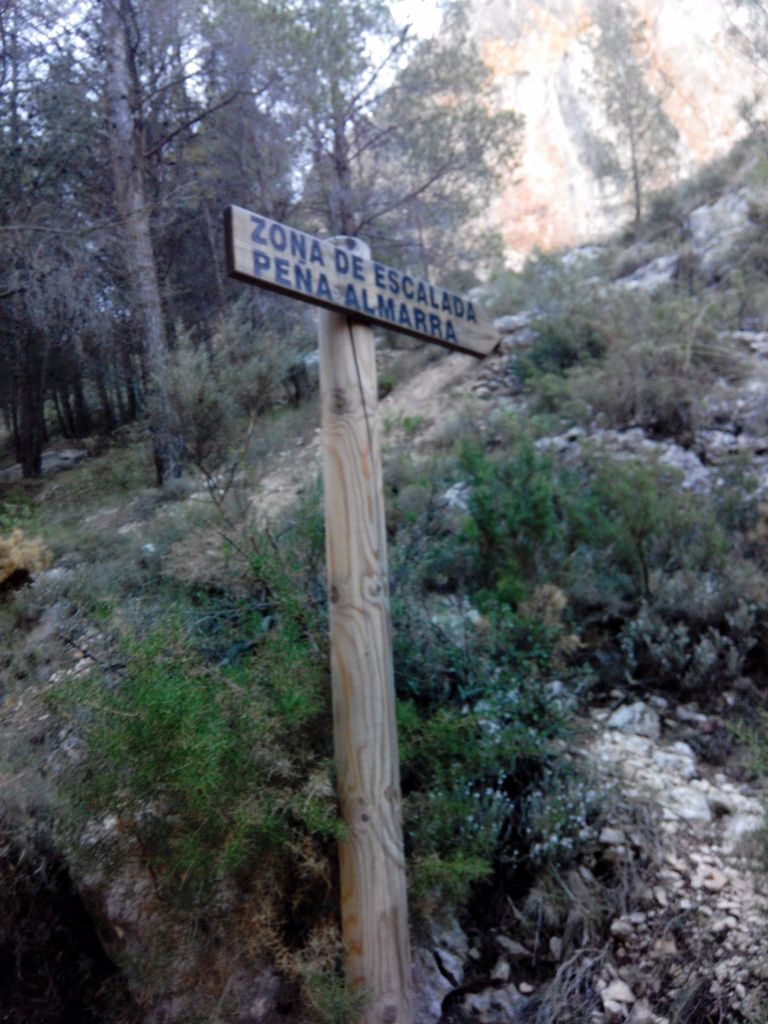 IMG-20151005-WA0010