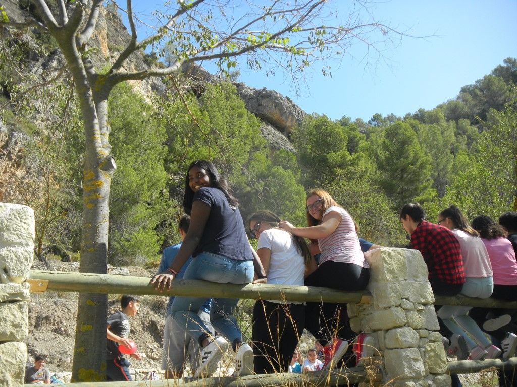 dscn7787-medium