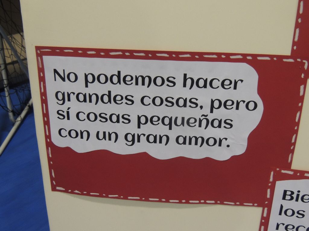 DSCN0684