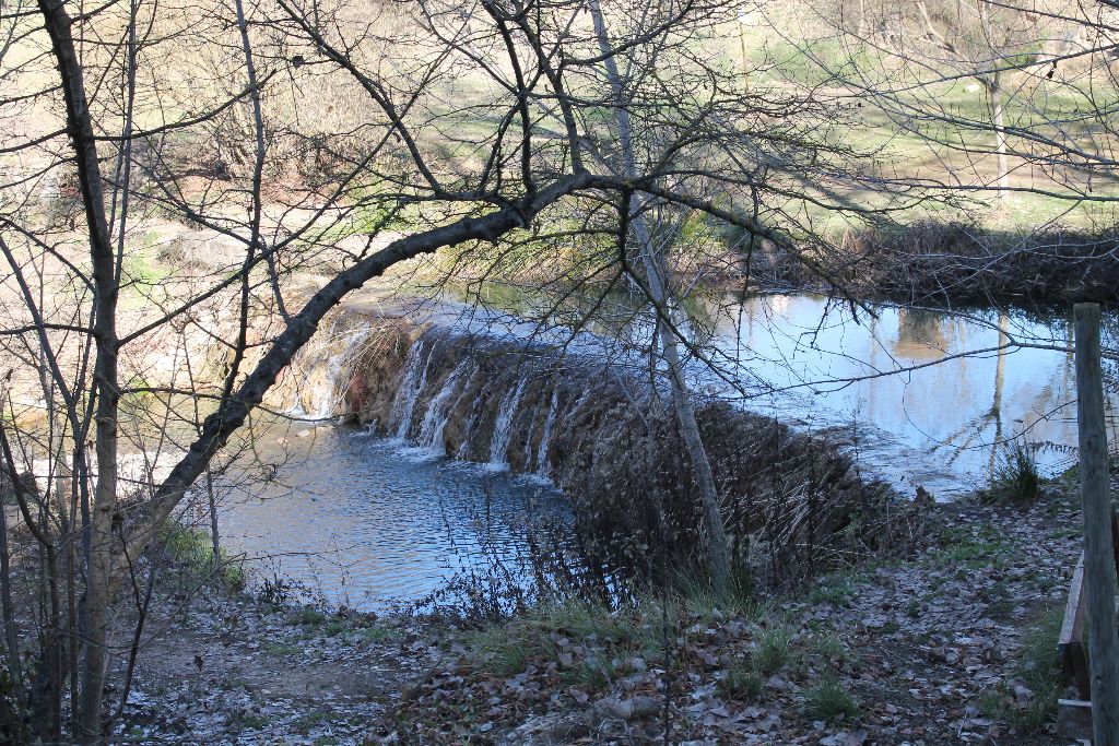 IMG_4348