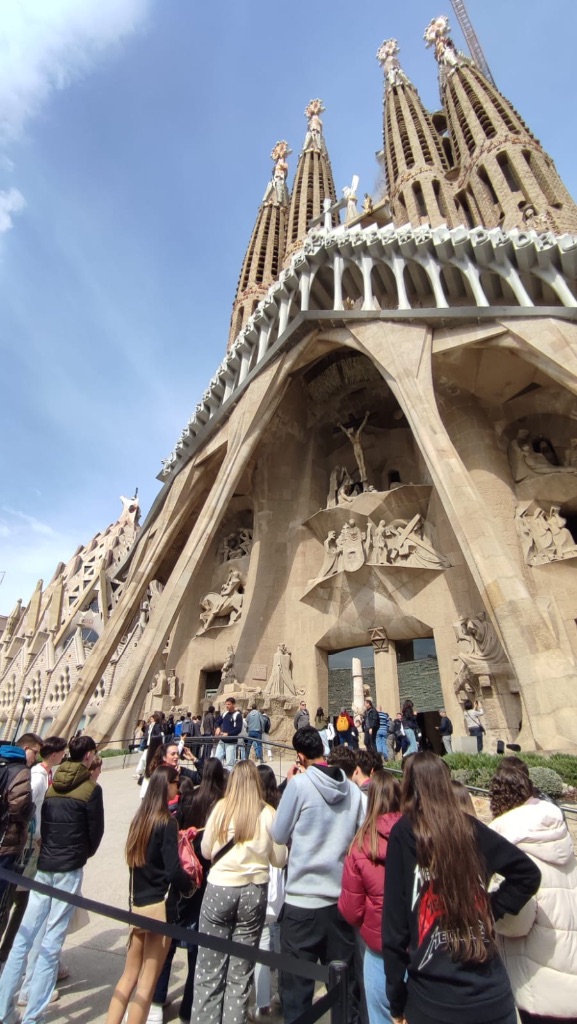 1ed9188e-29b5-4636-9ce8-a45456637c8a