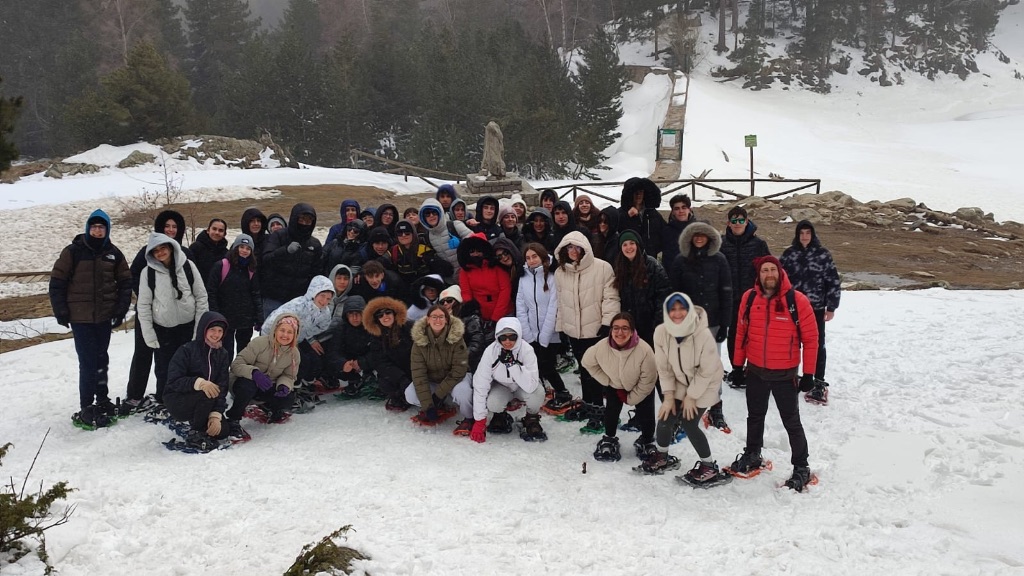 466a344a-1c68-42aa-98da-b4e794add3cf