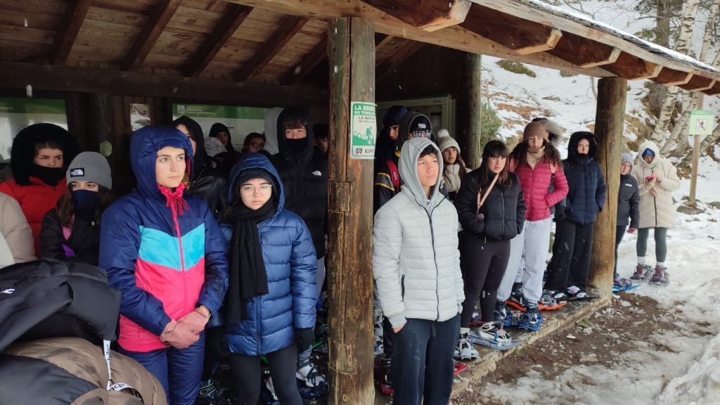 55c10307-214c-43f9-8dfe-c0961994ed07