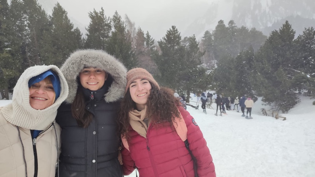 8185a7cf-ee69-42b1-91fa-67d82c3cff2b