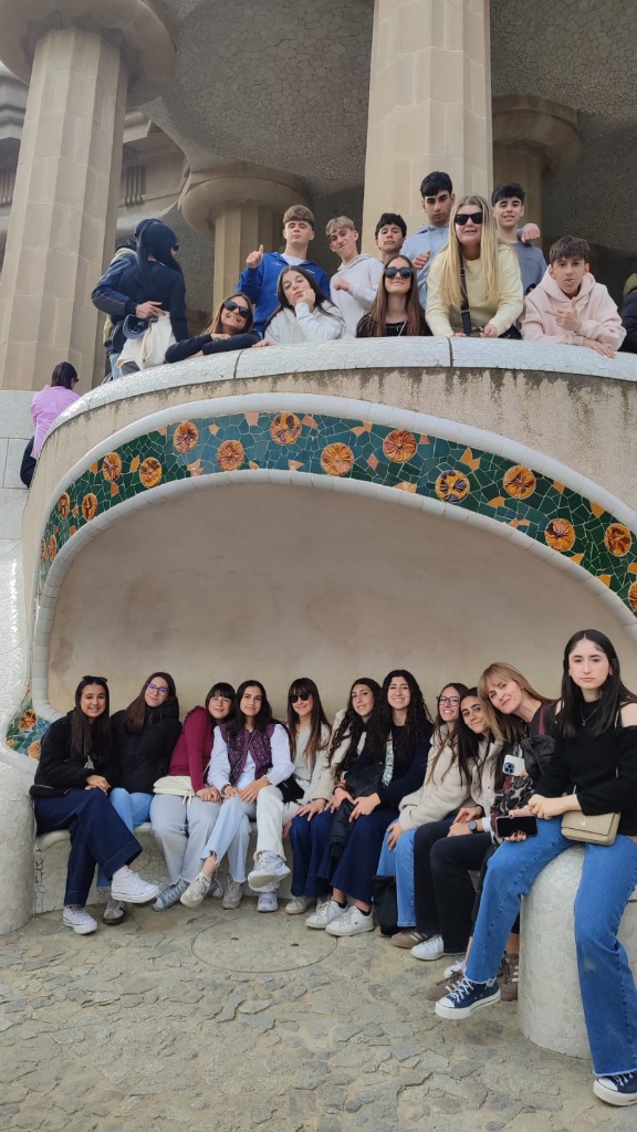 8c155e41-8eb1-4f82-ac40-816b64d1877d