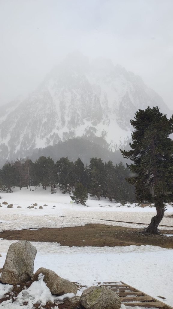 b36e6562-a2fc-49aa-ac0e-17ea1845ac75