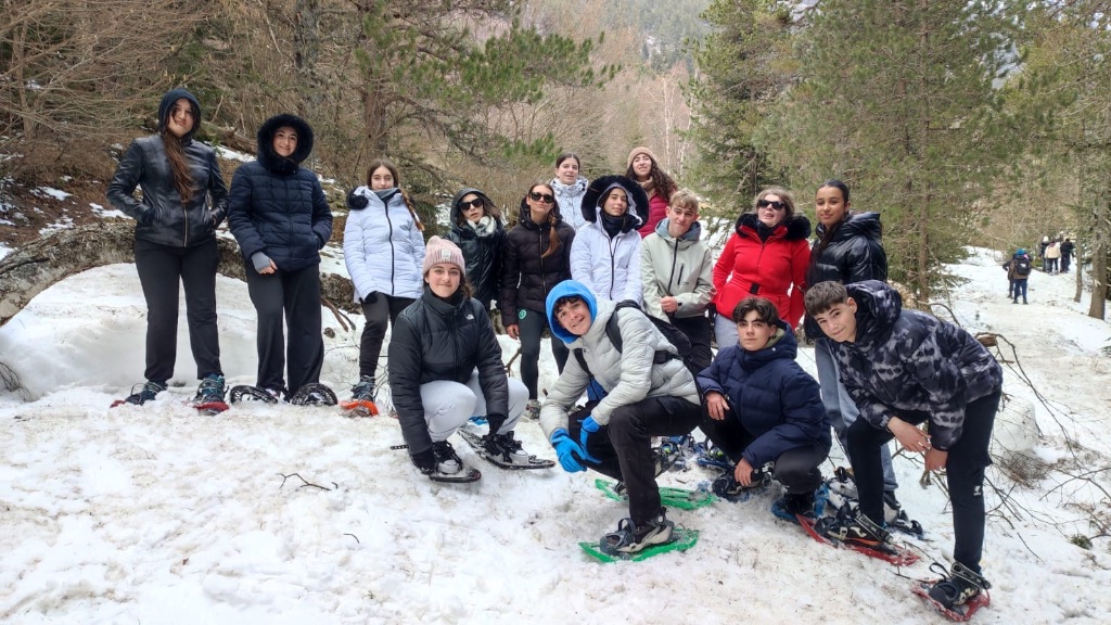 d42e0e8f-8cdb-4e10-9355-a379ab98e934