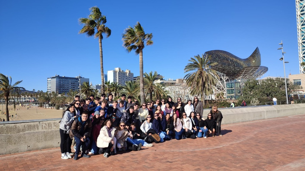 db672484-bd26-4c43-a625-42bcbae88991