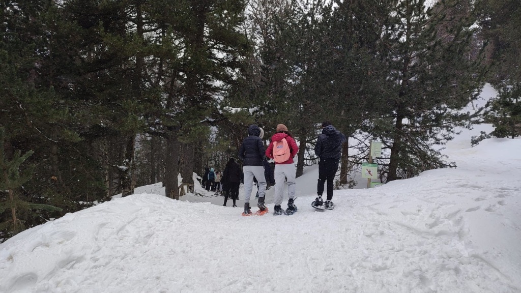 fb9ebb50-5135-41ee-a7e5-f01d8247e050